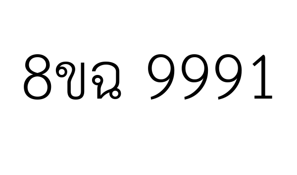 8ขฉ 9991